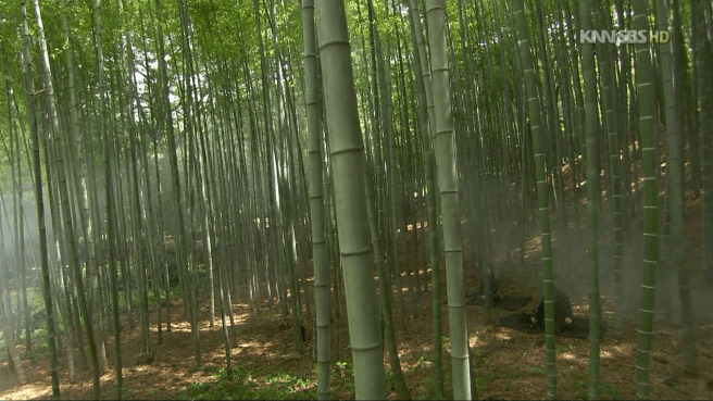 vlcsnap-2013-10-19-14h13m37s201